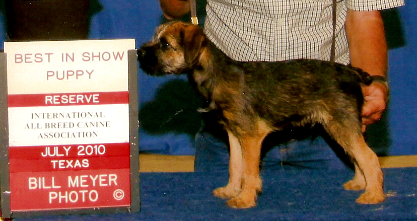 Ottermask British Fire at Lucky Hit (Jett) Taking Reserve BEST IN SHOW