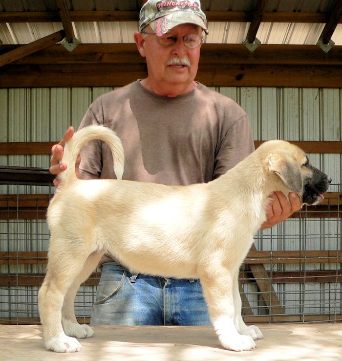 Erick at Lucky Hit Ranch on July 22, 2012