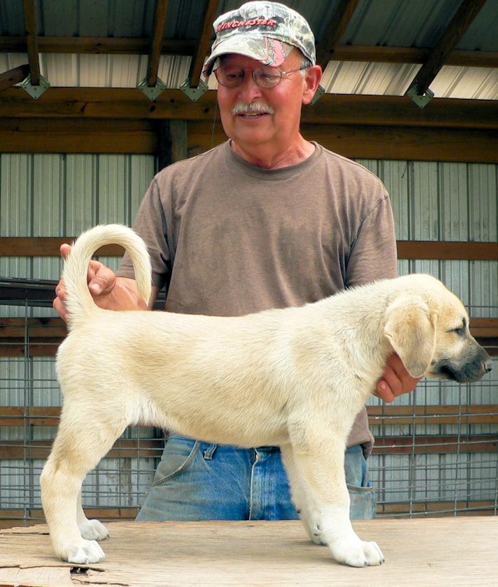 Erick at Lucky Hit Ranch on July 22, 2012 