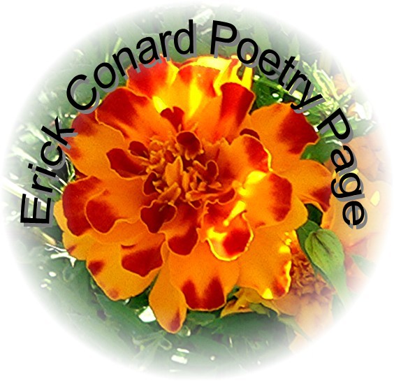 Marigold - Link to enter Erick's Poetry Page