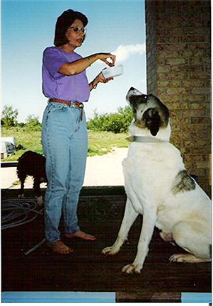 Frank William Conard II's wife, Christi Conard with Conard's White King (Thor)