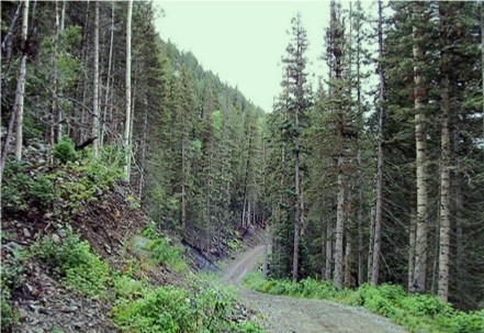 Road to Goose Lake