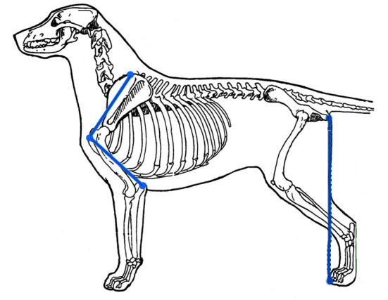 Anatolian Structure Overall 