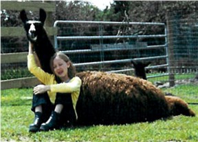 Teresa of Avila -  Beautiful Dark Brown Silky Fleece