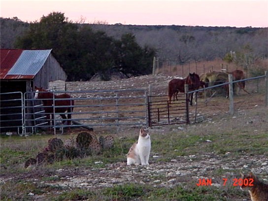 Winter at Lucky Hit Ranch