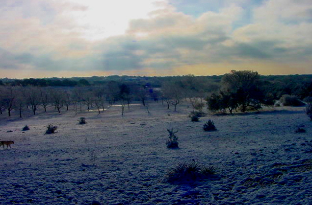 Early morning after a rare snowfall at Lucky Hit