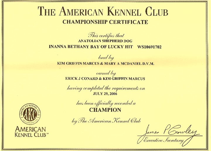 Bethany's AKC Championship Document