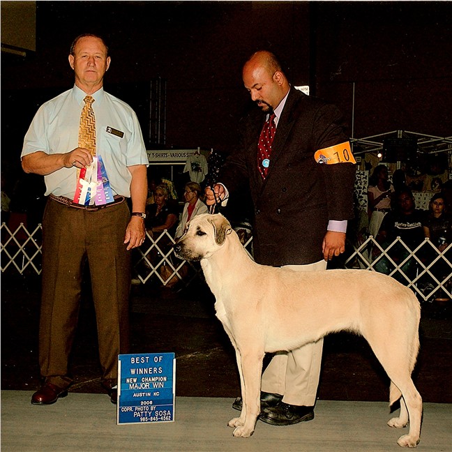 Bethany earning her AKC Championship