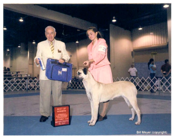 POSEY at Seminole Dog Fanciers show September 11, 2005
