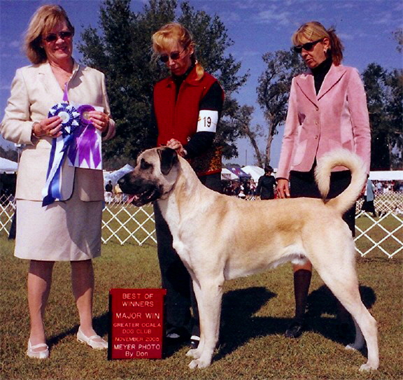 BOUDREAU BEST OF WINNERS MAJOR WIN