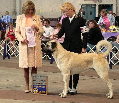 April 14, 2006 - BOUDREAU - REGIONAL SPECIALTY - BEST OF OPPOSITE 