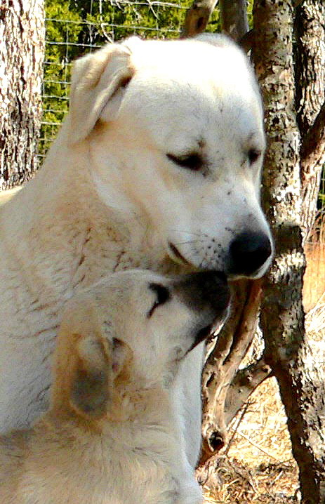  NARIN with her Aunt Kamil ON January 5, 2011 !!!)