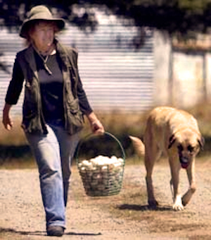 BISS GCH J-Haven's Esmeray of Timaru 