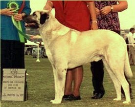 Gerlach Beau at 2001 Nationals