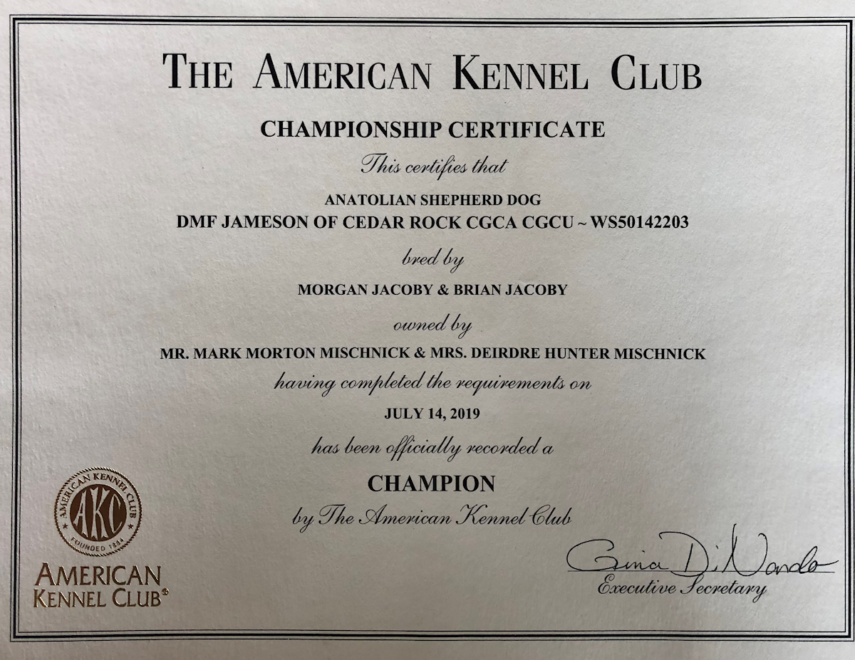 AKC CHAMPIONSHIP CERTIFICATE for DMF JAMESON OF CEDAR ROCK (JJ) 