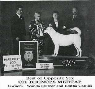 Birinci's Mehtap