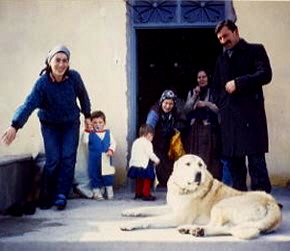 Anatolian in Turkey