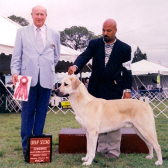 Champion Birinci's Yahsi (Handsome) winning Group II March, 2005 at Lake City