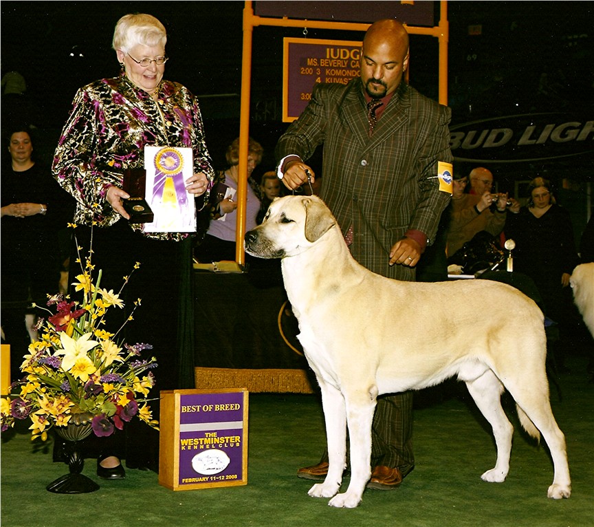 Birinci's Yahsi Best of Breed Westminister